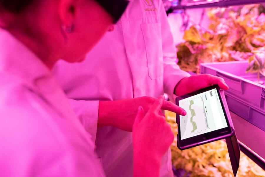 Researchers recorded the data under indoor LED grow light