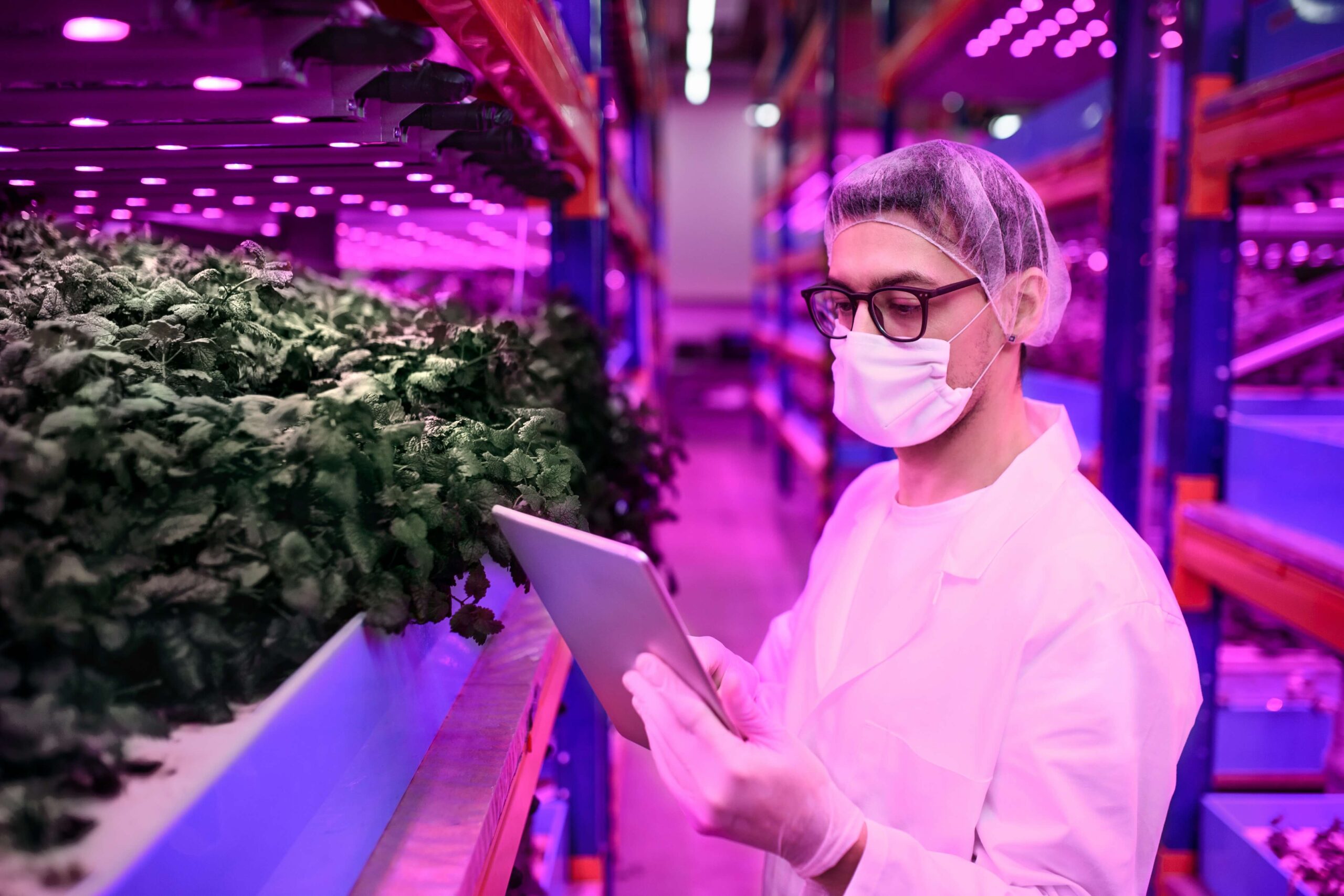 Impact Of LED Grow Light For Health: Is LED Grow Light Harmful To Humans?