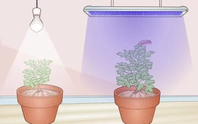 Regular LED Lights Vs. LED Grow Lights: What Is The Differences?