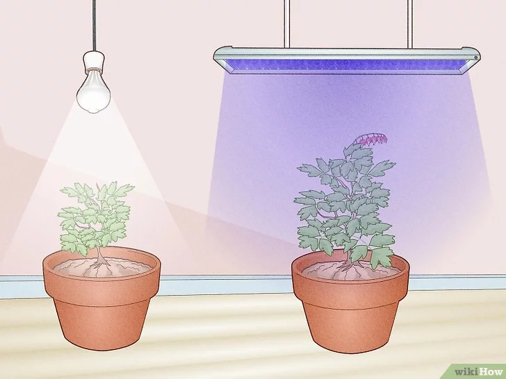 Regular LED Lights Vs. LED Grow Lights: What Is The Differences?