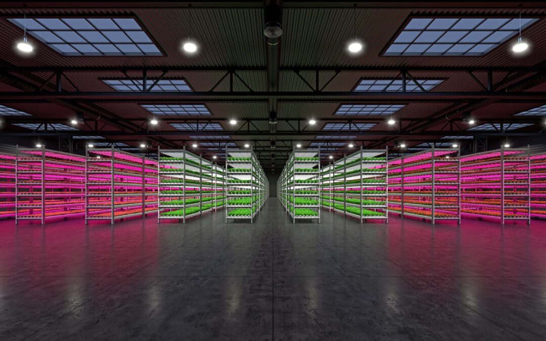 How LED Grow Light Is The Future For Indoor Horticulture?