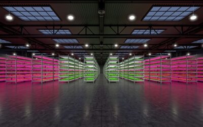 How LED Grow Light Is The Future For Indoor Horticulture?