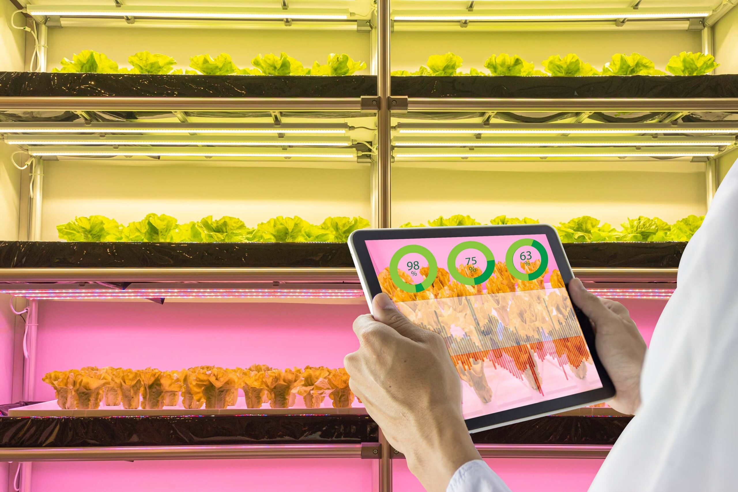 Tips For Setting Up Successful Plant Trials With LED Grow Light