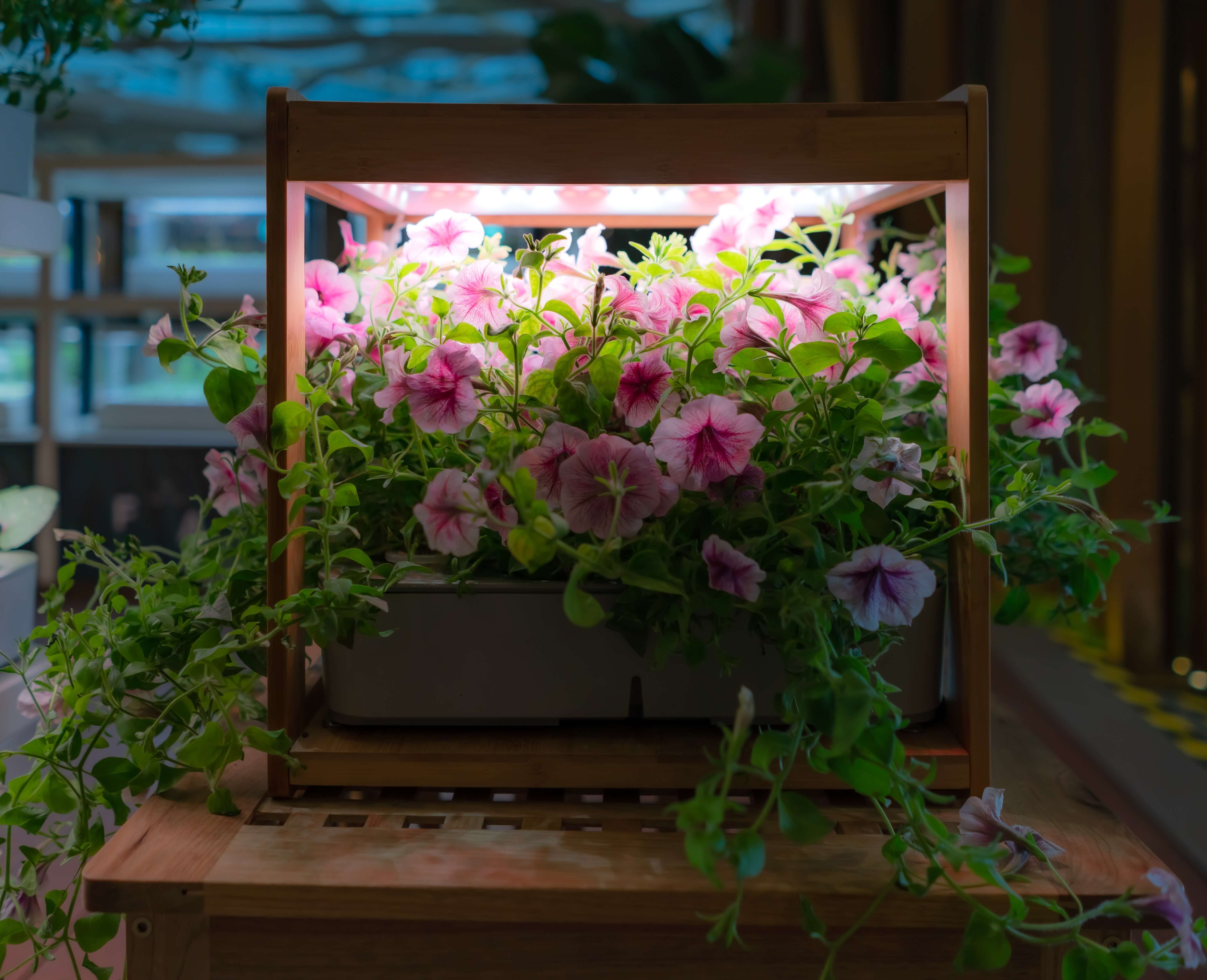 Closet Grow Light Setup – Growing Plants In Tight Spaces