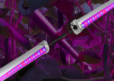 IZJ Series LED Grow Light