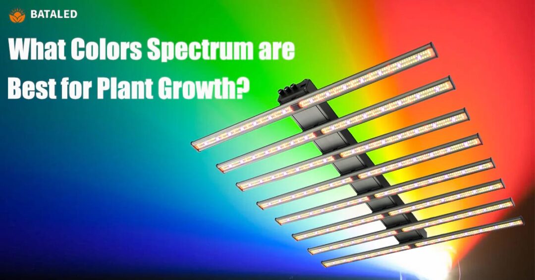 LED Grow Light Color Spectrum What Colors are Best for Plants?
