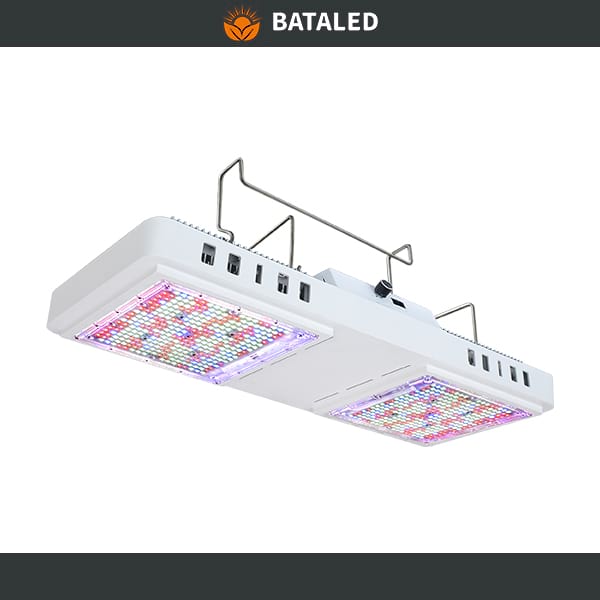 Recommend related products: BATA LED TFDG Series Greenhouse Grow Light 800W