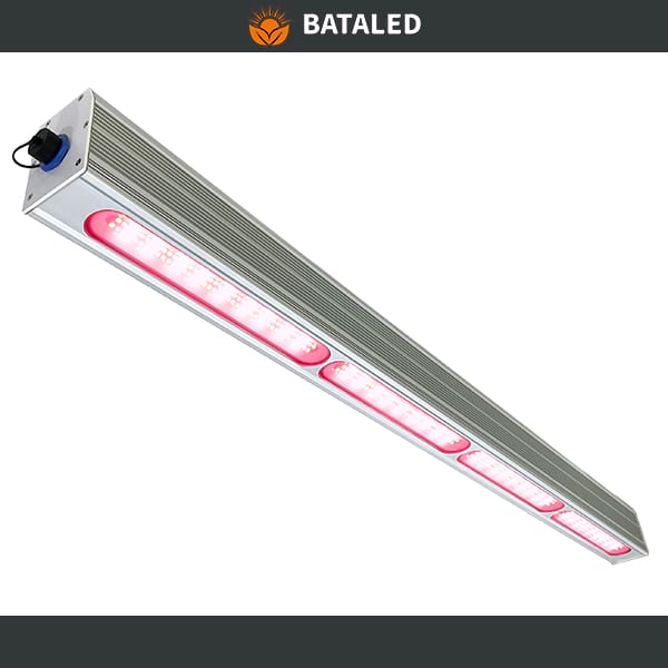 Recommend related products: BATA LED TMDG Series Greenhouse Grow Light 200W