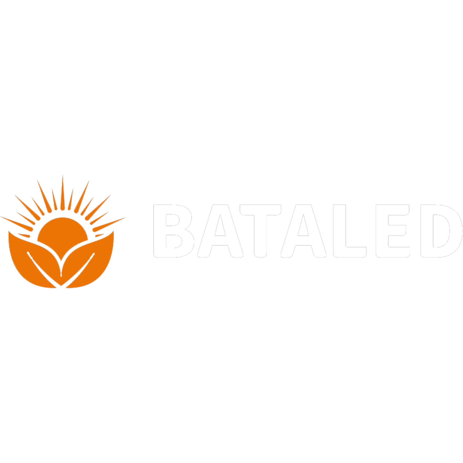 BATA LED logo