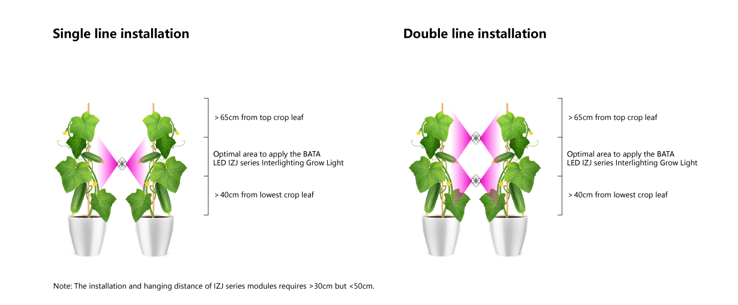 Installation Guide of BATA LED IZJ Series Interlighting Grow Light Installation Guide of BATA LED IZJ Series Interlighting Grow Light