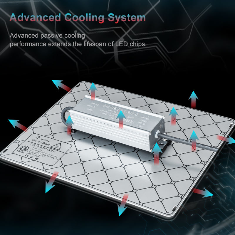 H019c17af4fd44208947126ab756e0ba9p