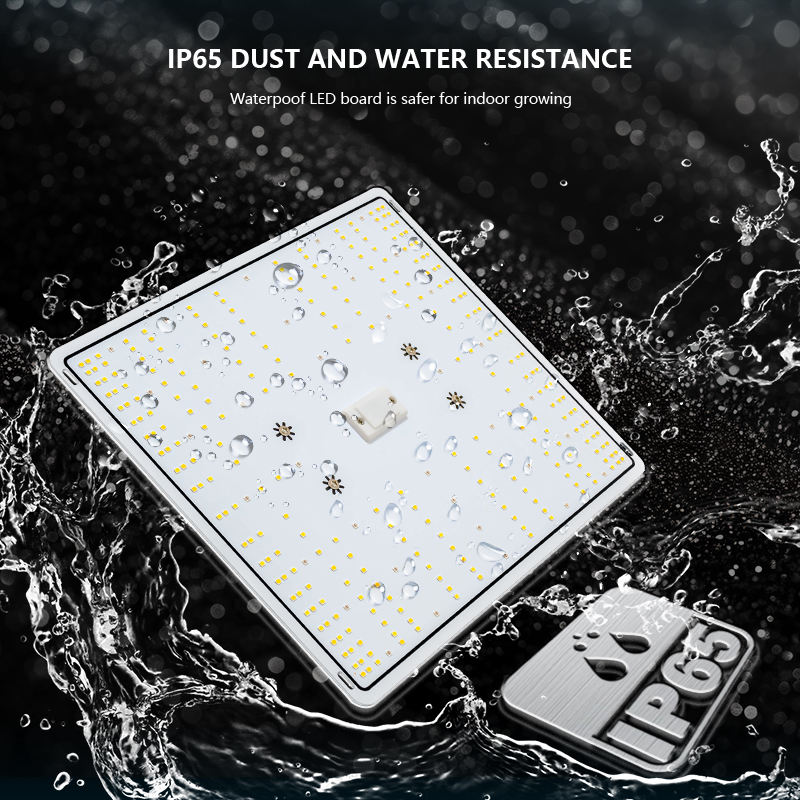 H368709daf09541d987ee72e2a1f6834dR