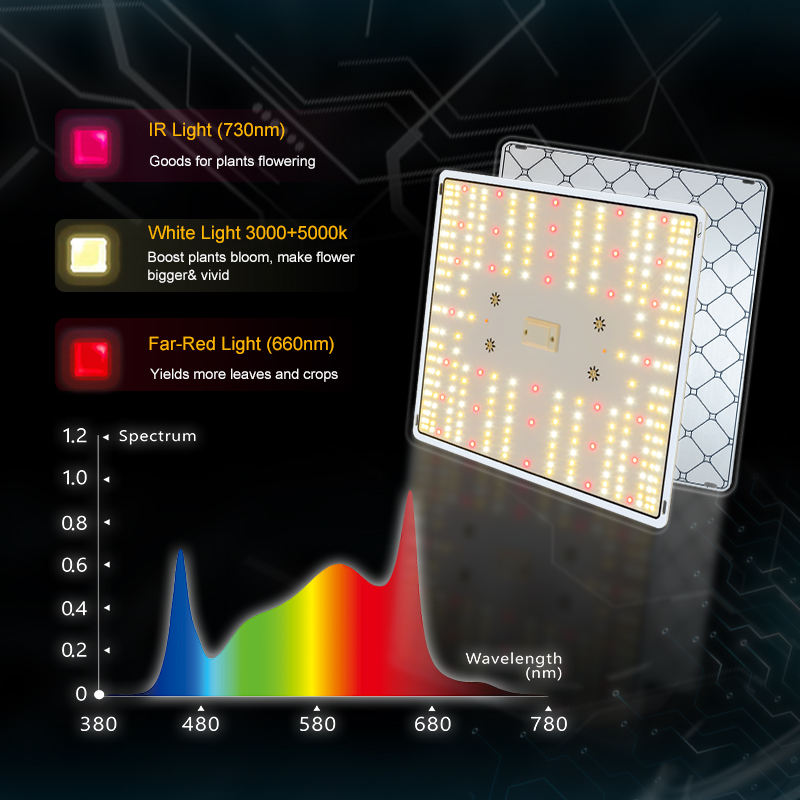 H77d8a7ab360d478d8868afed31f7c446n