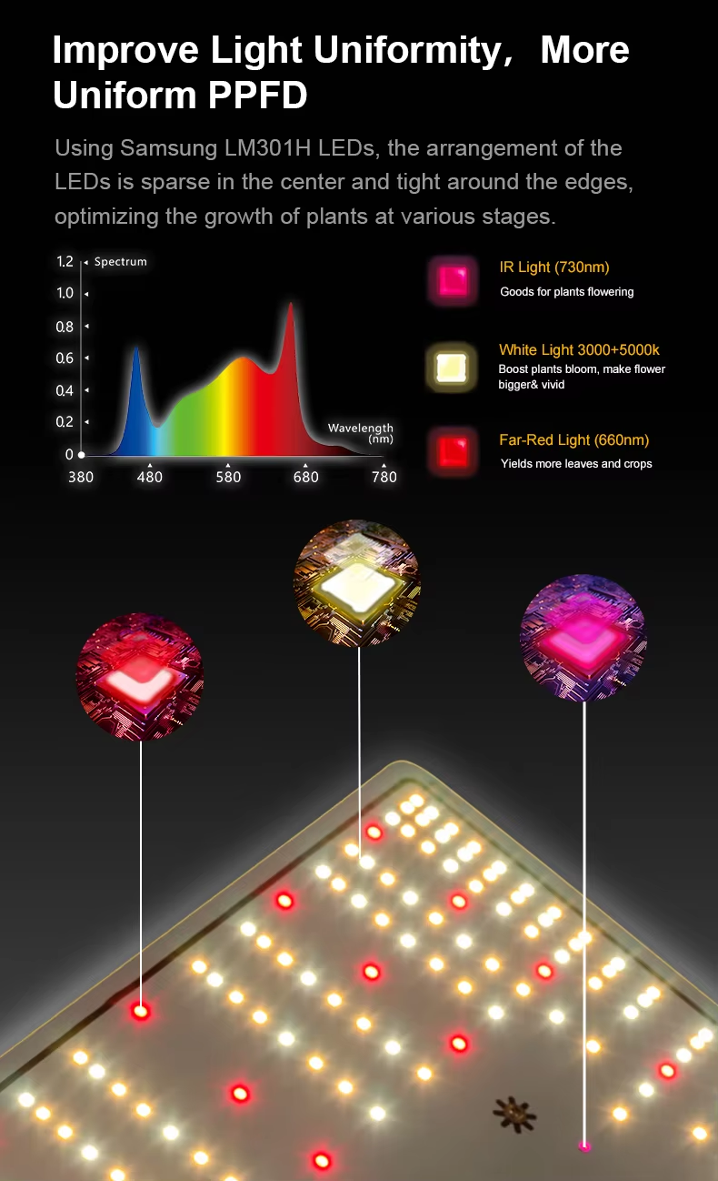 b0ae8719-733f-4bd1-bca3-59402a3afd3c