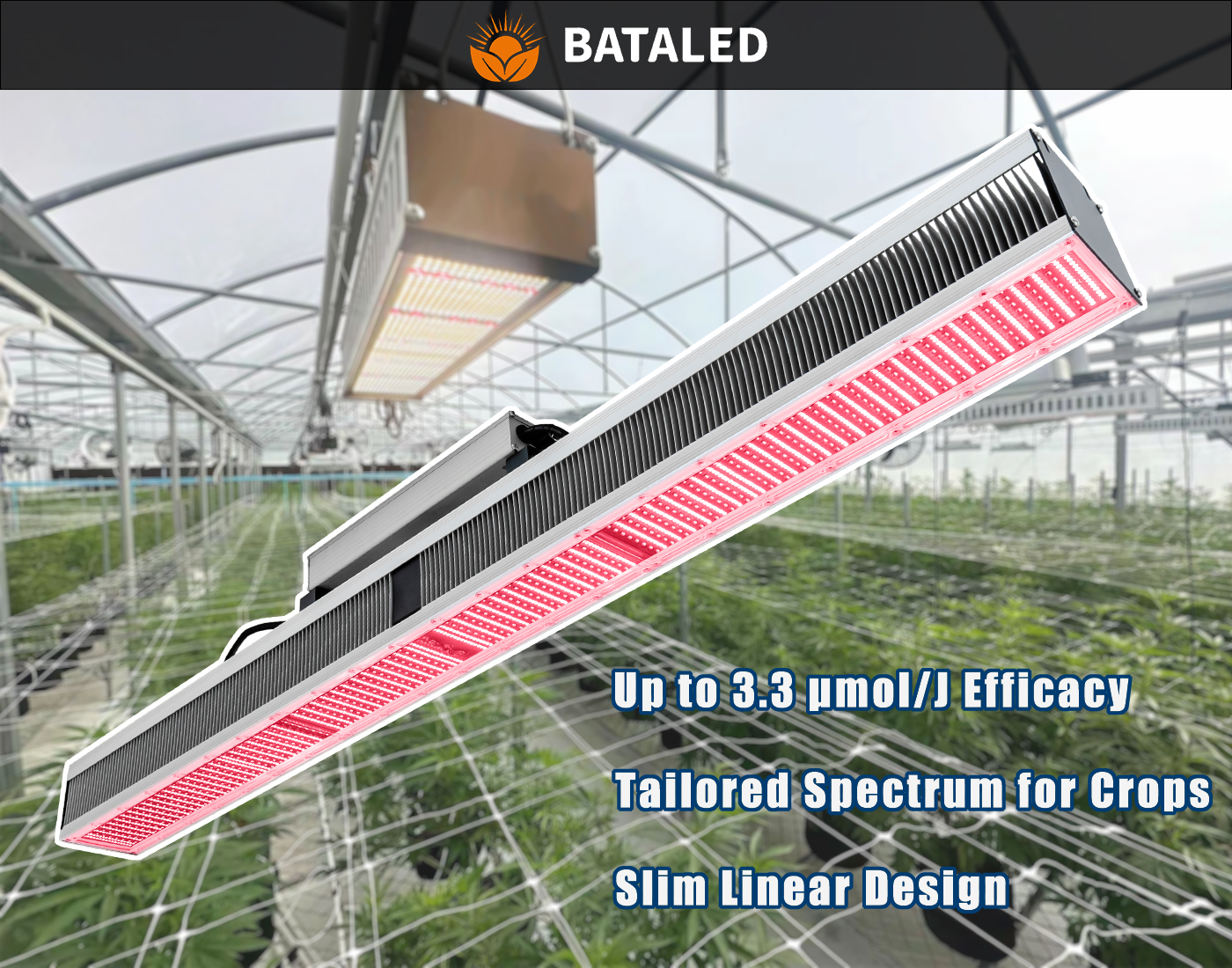 Key Features of BATA LED IZJ Series Interlighting Grow Light